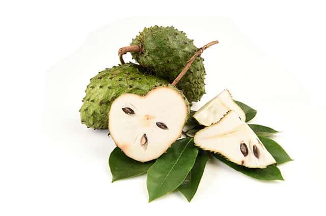 Sour Sop Fruits